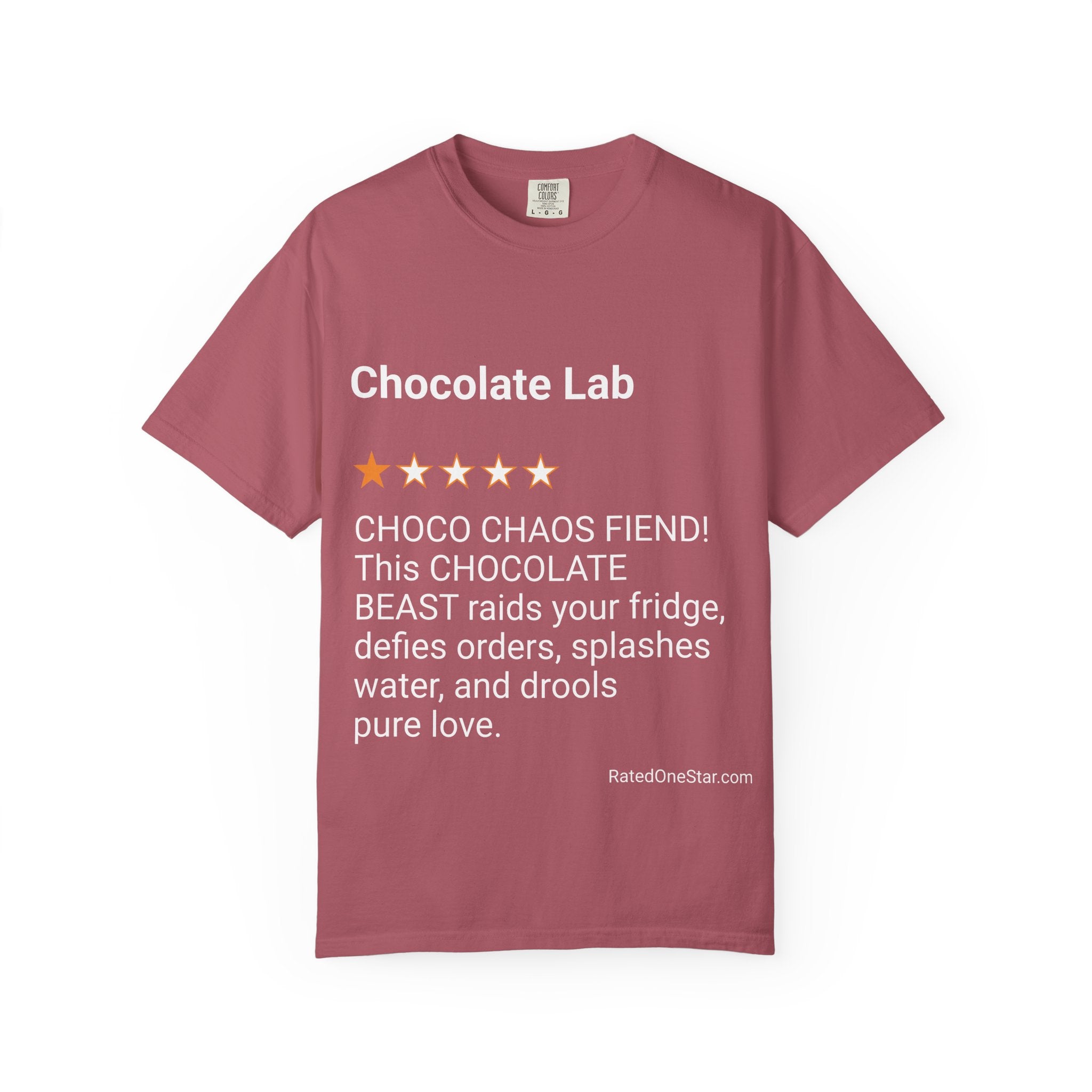 DOGS - CHOCOLATE LAB