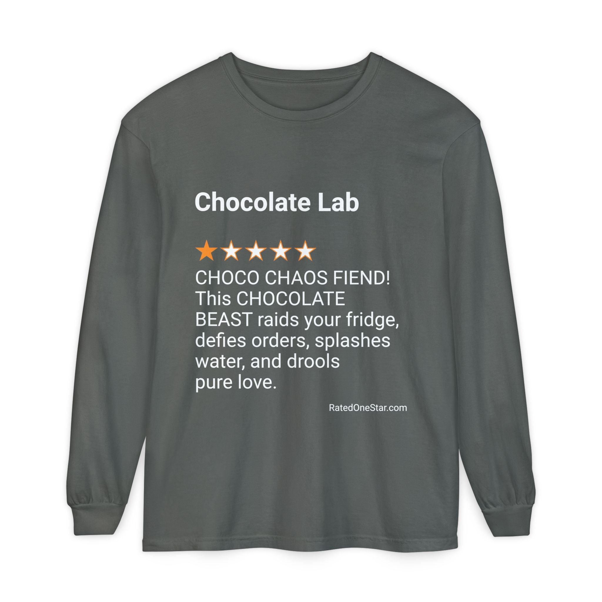 DOGS - CHOCOLATE LAB