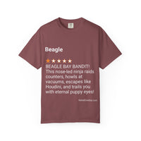 DOGS - BEAGLE