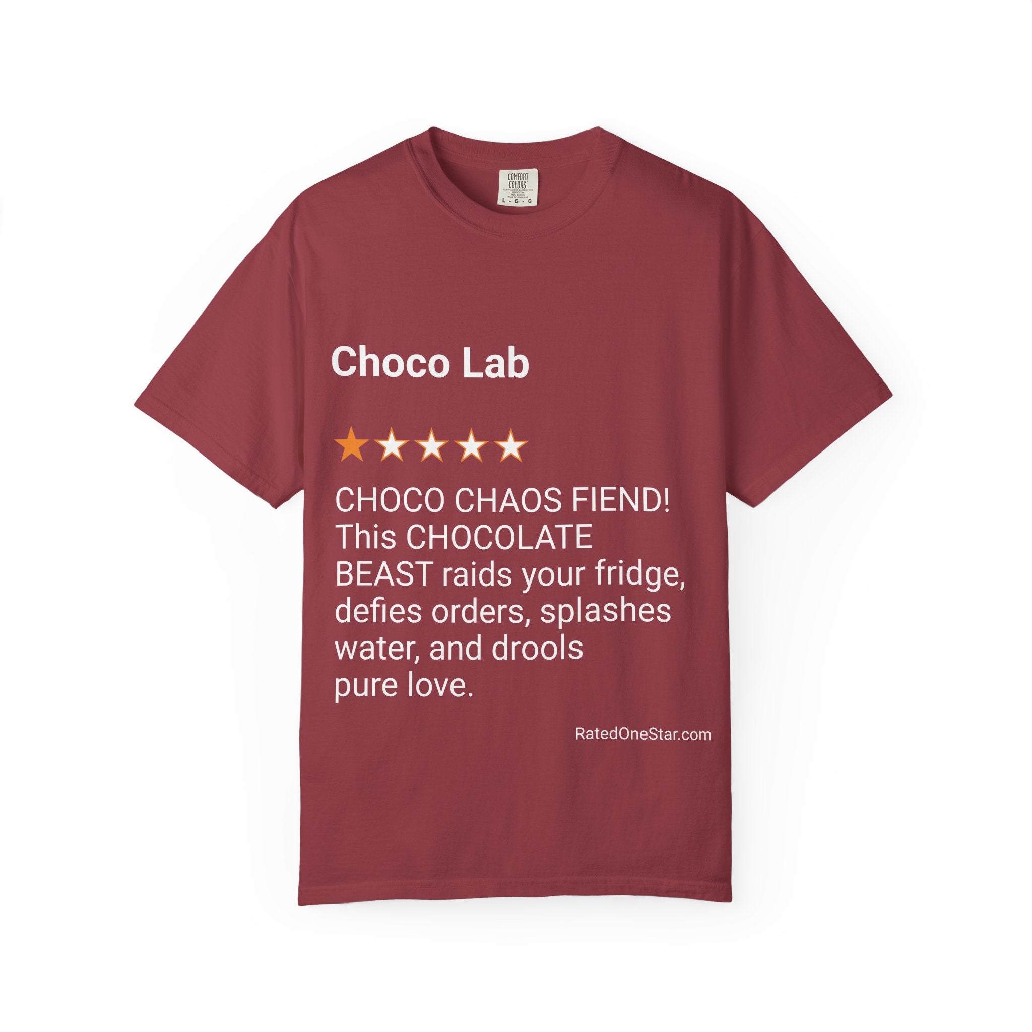 DOGS - CHOCO LAB