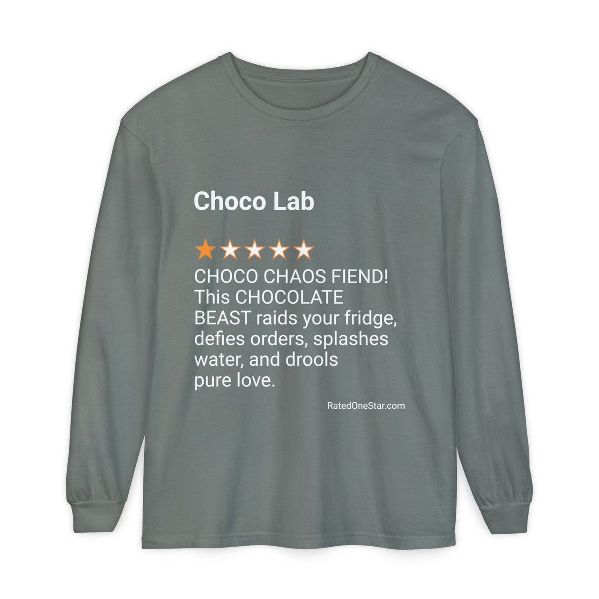 DOGS - CHOCO LAB