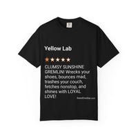DOGS - YELLOW LAB