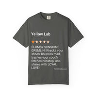DOGS - YELLOW LAB
