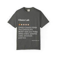 DOGS - CHOCO LAB