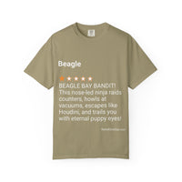 DOGS - BEAGLE