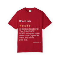 DOGS - CHOCO LAB