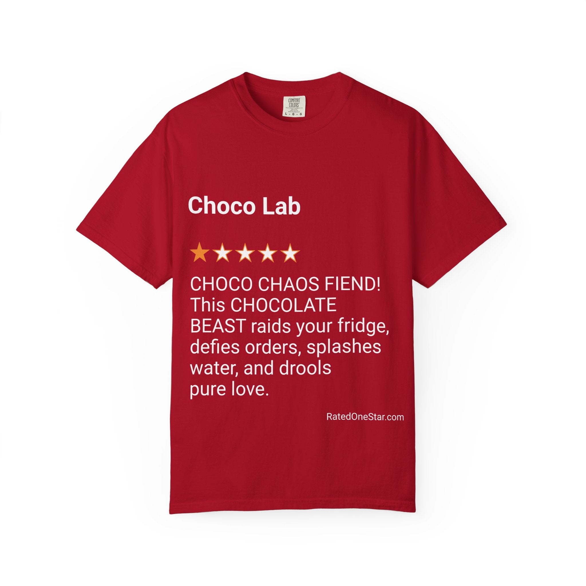 DOGS - CHOCO LAB