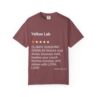 DOGS - YELLOW LAB