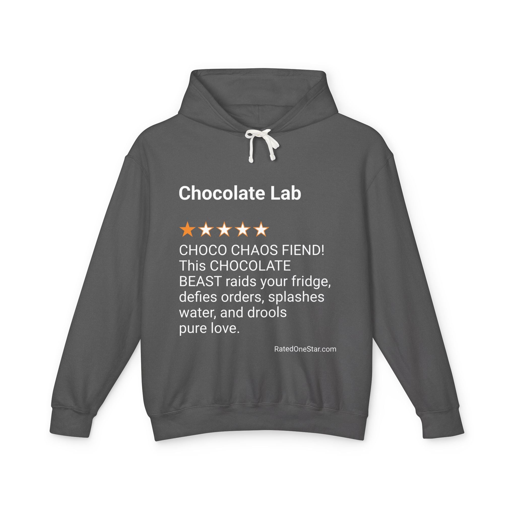 DOGS - CHOCOLATE LAB