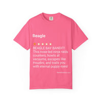 DOGS - BEAGLE