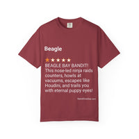 DOGS - BEAGLE