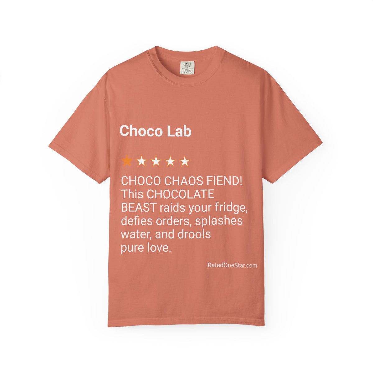 DOGS - CHOCO LAB
