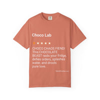 DOGS - CHOCO LAB