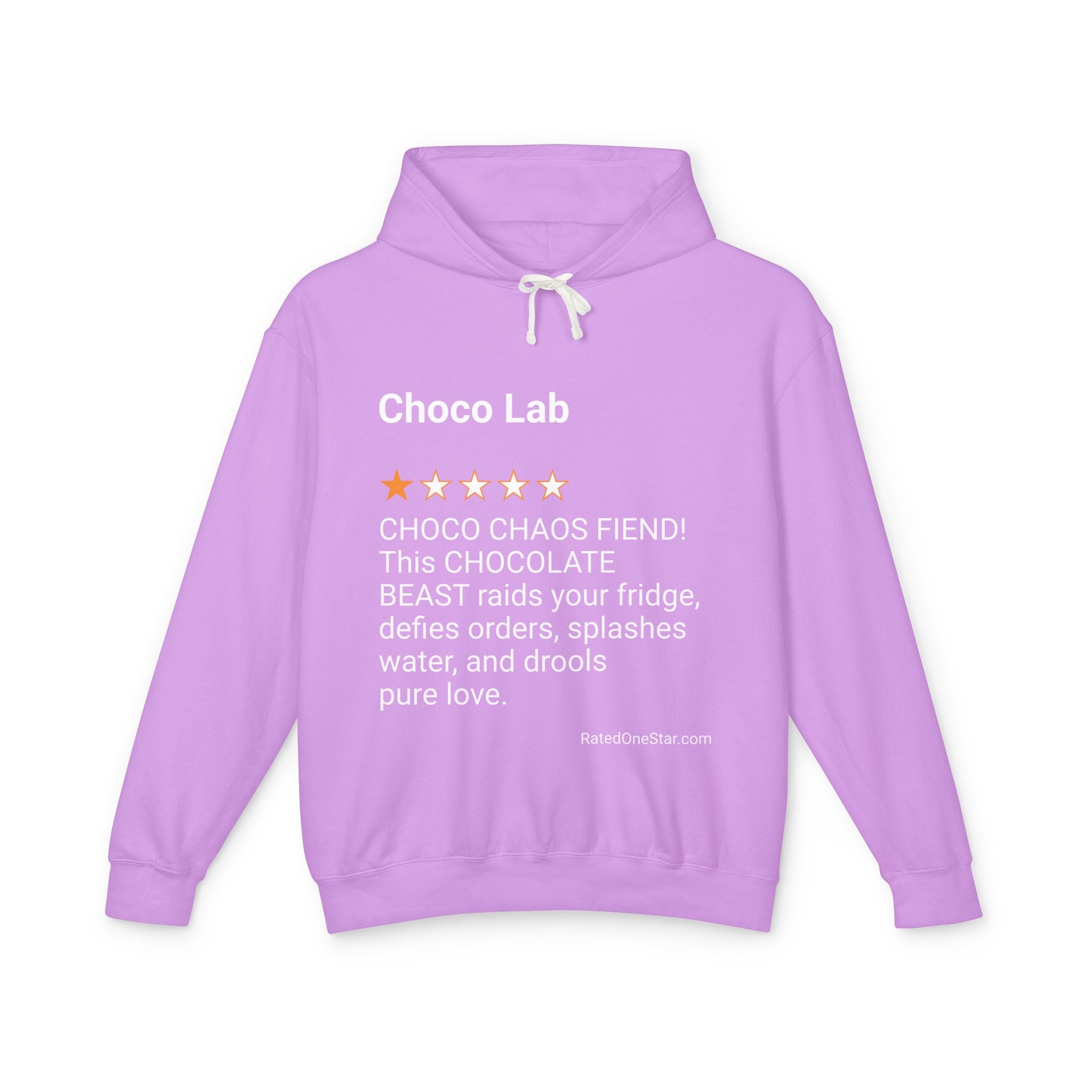 DOGS - CHOCO LAB