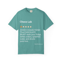 DOGS - CHOCO LAB