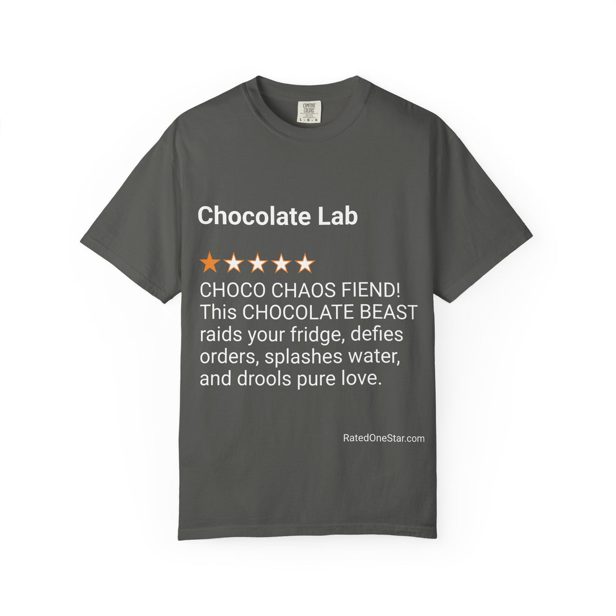 DOGS - CHOCOLATE LAB