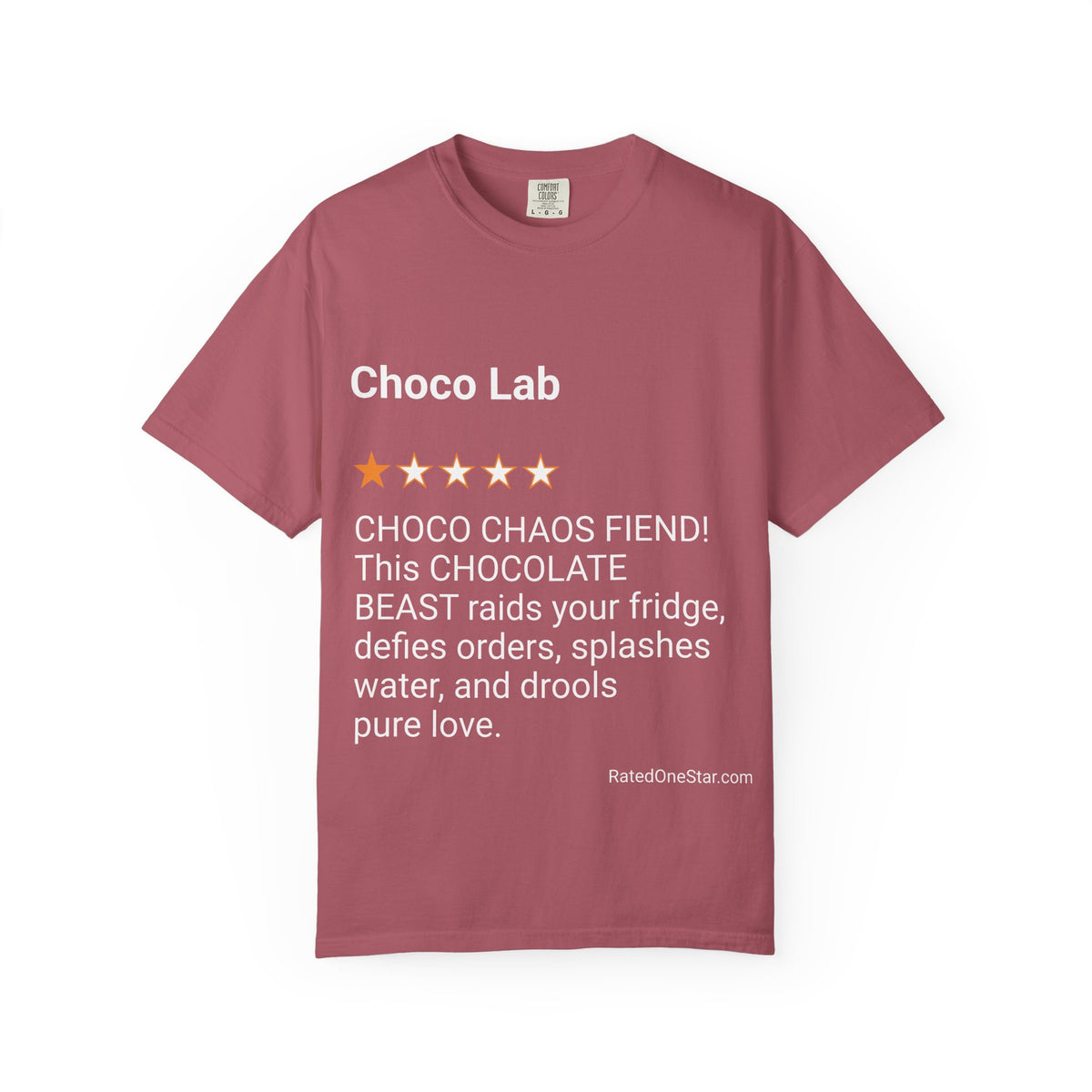 DOGS - CHOCO LAB