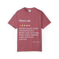 DOGS - CHOCO LAB
