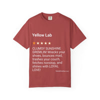 DOGS - YELLOW LAB