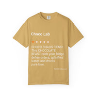 DOGS - CHOCO LAB