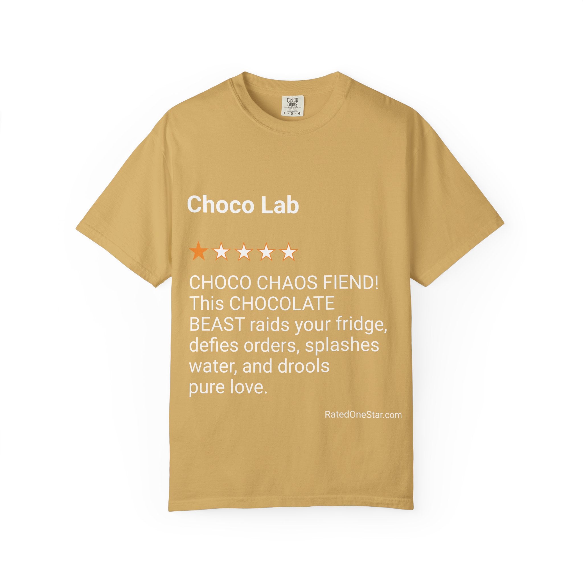 DOGS - CHOCO LAB