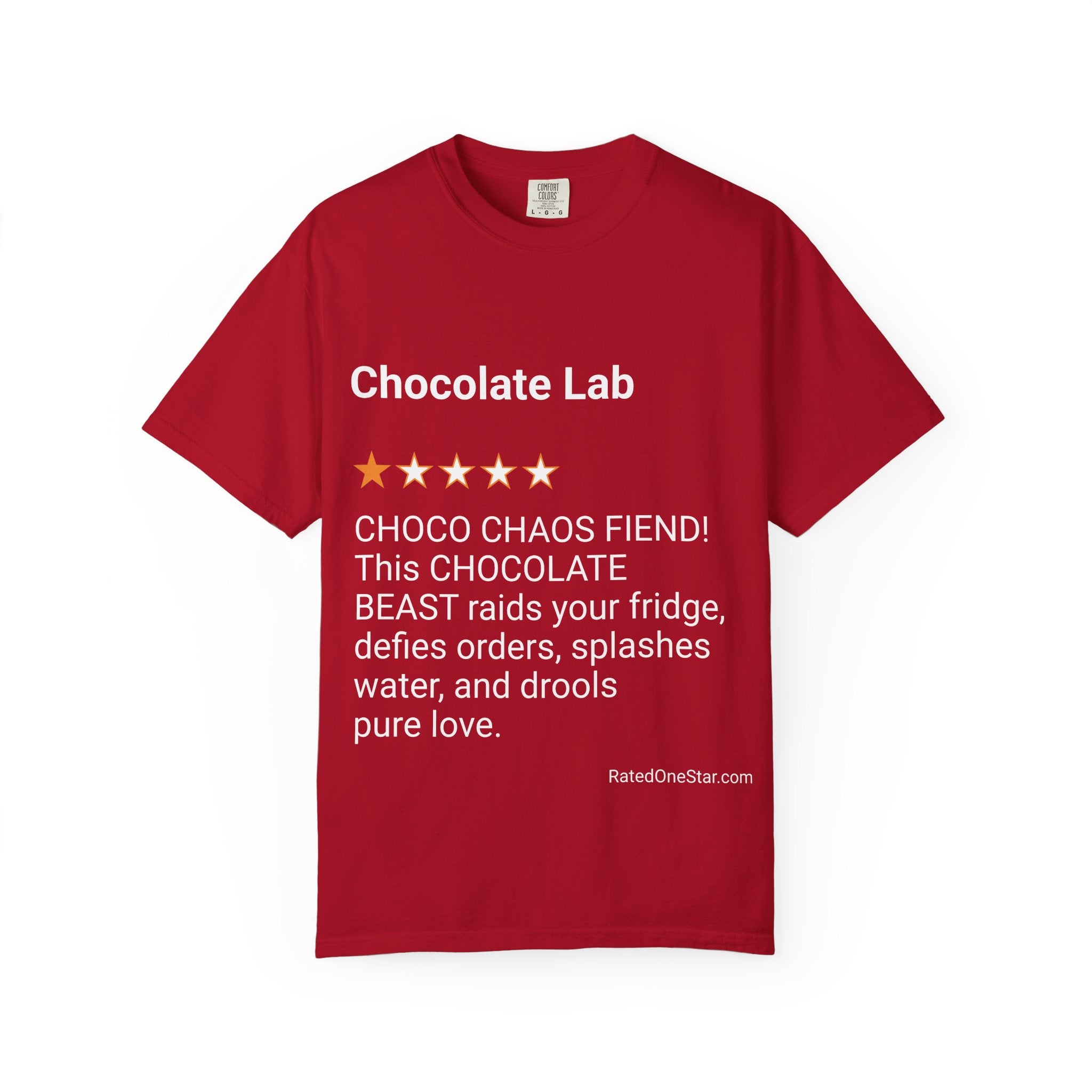 DOGS - CHOCOLATE LAB