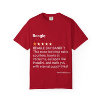 DOGS - BEAGLE